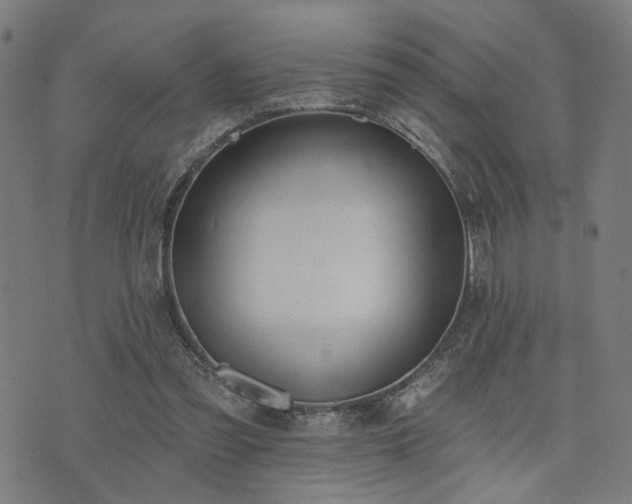 X0000074320301200609011544