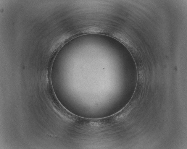 X0000074320302200609011544