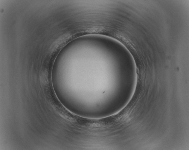 X0000074320303200609011544