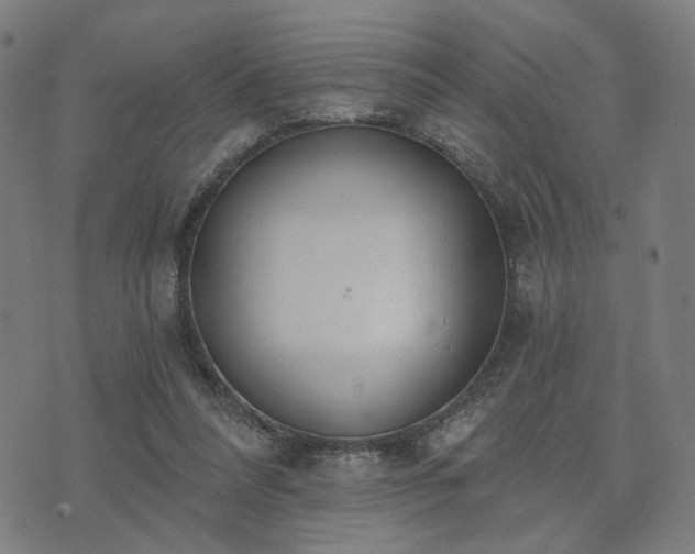 X0000074320304200609011544