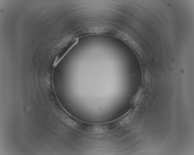 X0000074320305200609011544