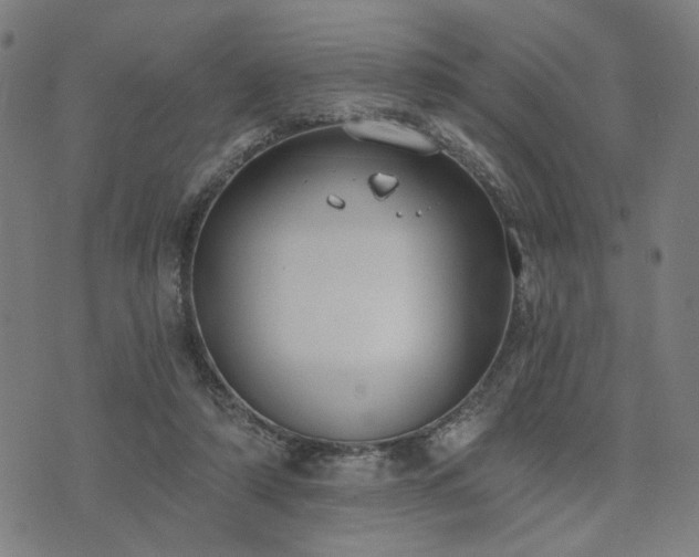 X0000074320306200609011544