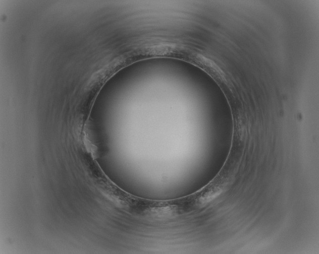 X0000074320307200609011544