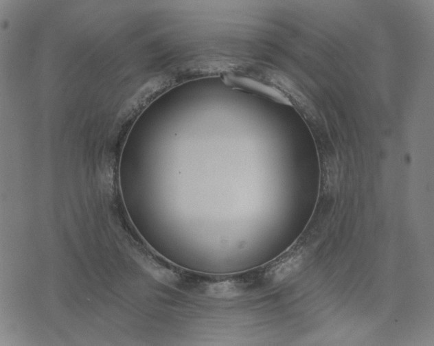 X0000074320309200609011544