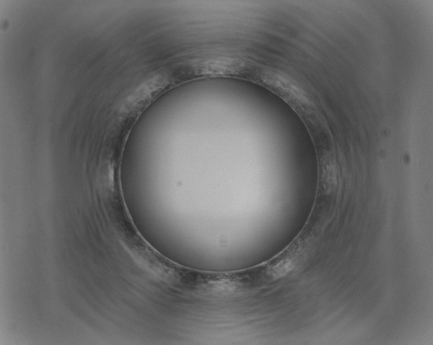 X0000074320310200609011544