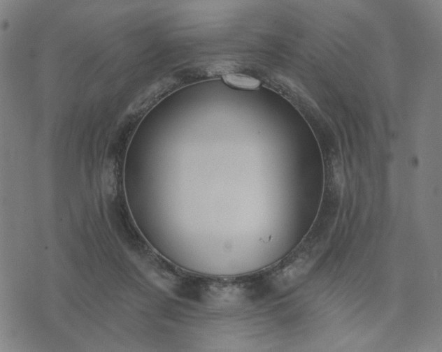 X0000074320311200609011544