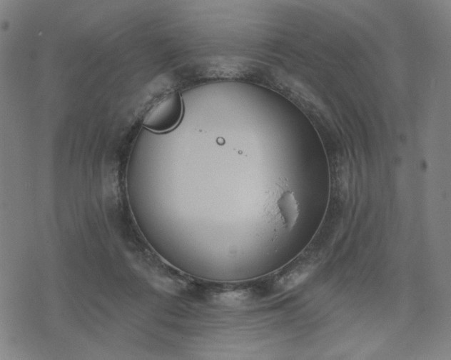 X0000074320312200609011544