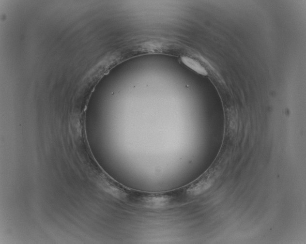 X0000074320313200609011544