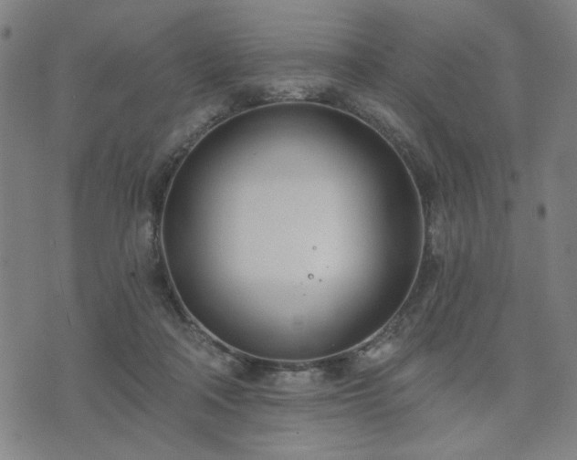 X0000074320314200609011544