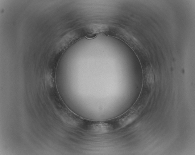 X0000074320316200609011544