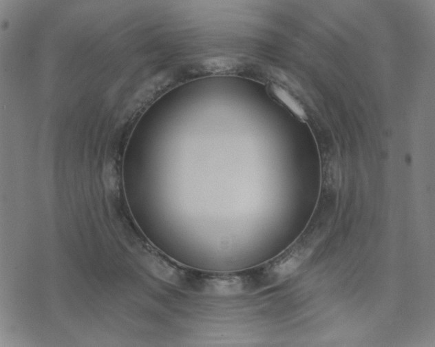 X0000074320317200609011544