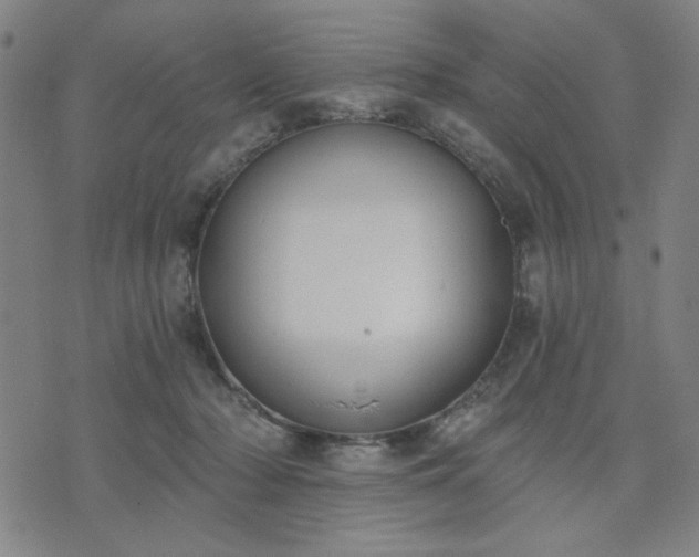 X0000074320318200609011544