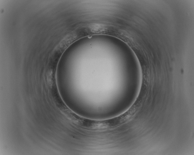 X0000074320319200609011544