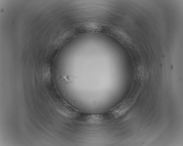 X0000074320320200609011544