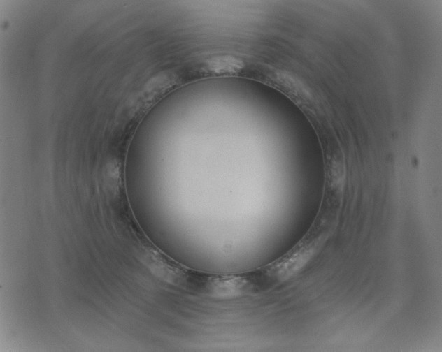 X0000074320321200609011544