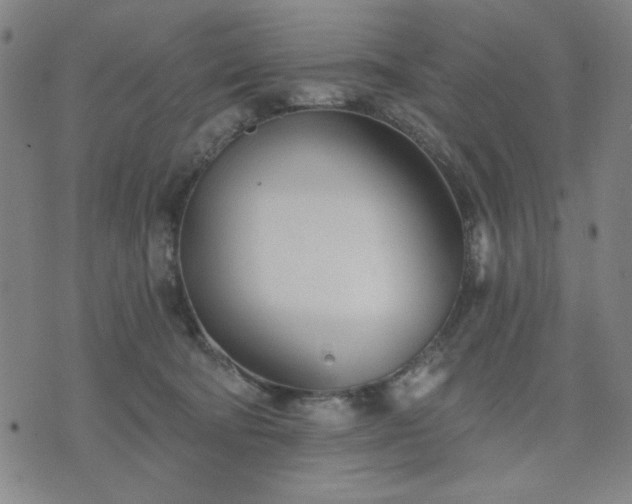 X0000074320322200609011544