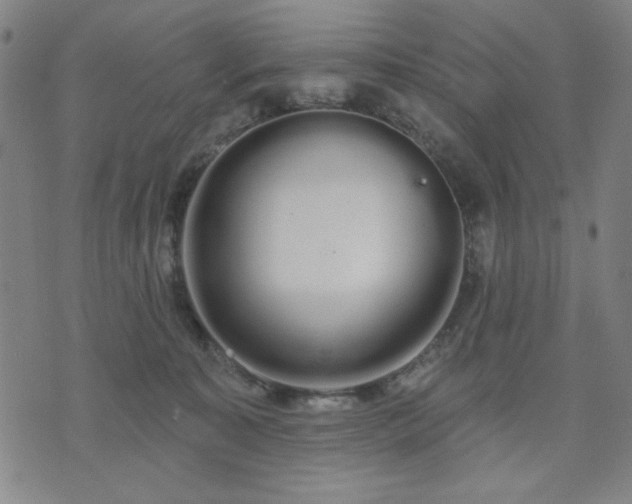 X0000074320323200609011544