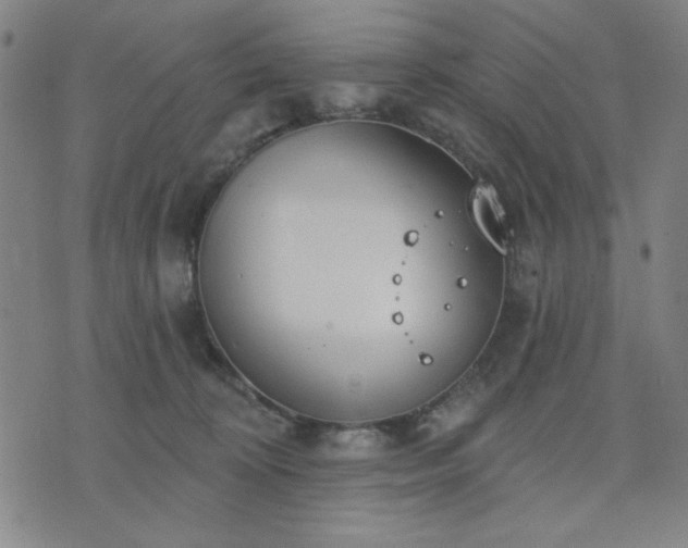 X0000074320324200609011544