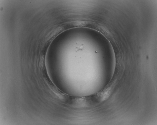 X0000074320325200609011544