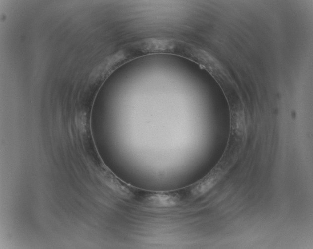 X0000074320326200609011544