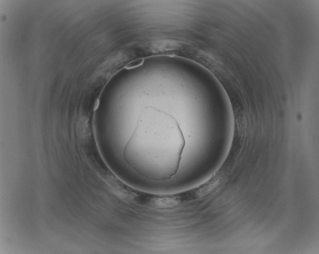 X0000074320327200609011544