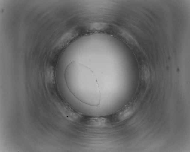 X0000074320328200609011544