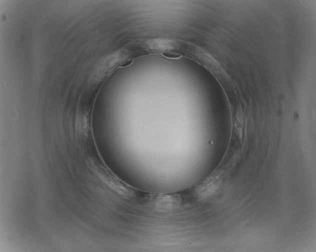 X0000074320330200609011544