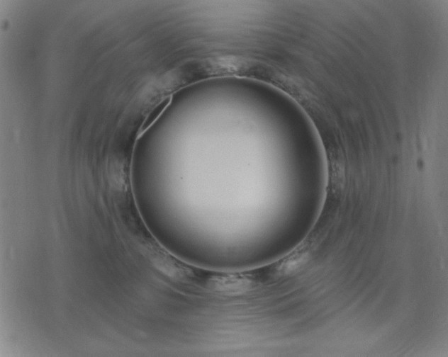 X0000074320331200609011544