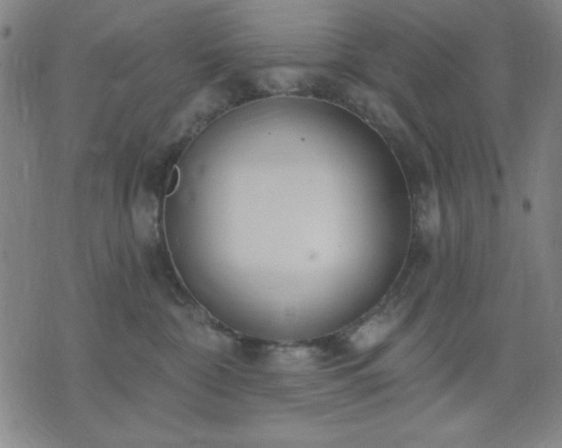 X0000074320332200609011544