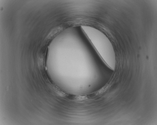 X0000074320333200609011544