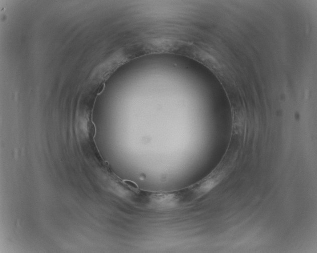 X0000074320334200609011544