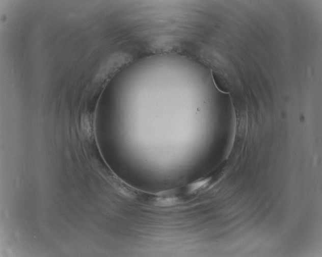 X0000074320335200609011544