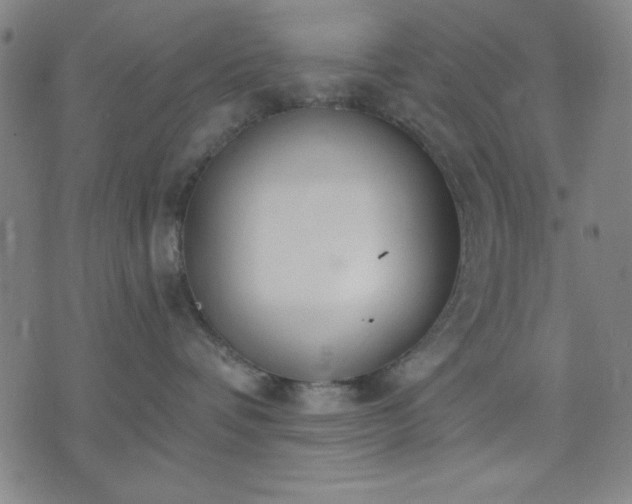 X0000074320336200609011544