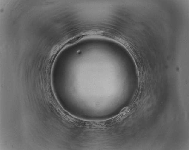 X0000074320337200609011543