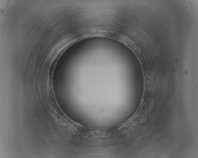 X0000074320338200609011543