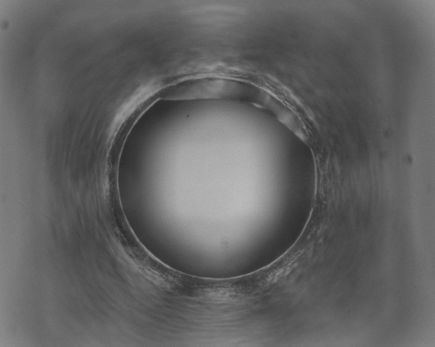 X0000074320344200609011543