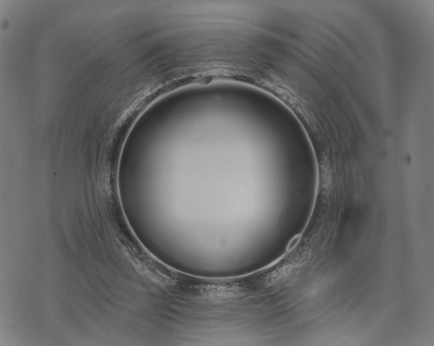 X0000074320347200609011543