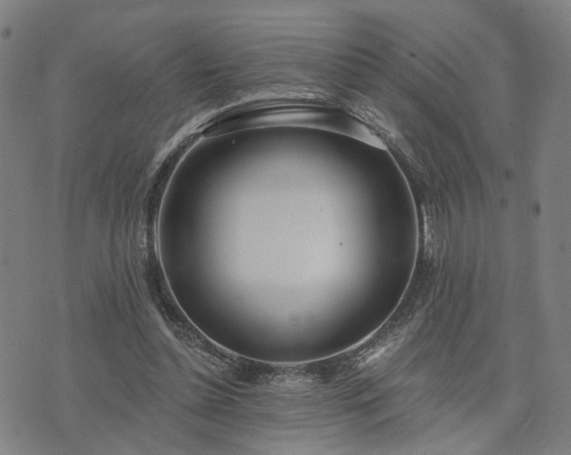 X0000074320348200609011543