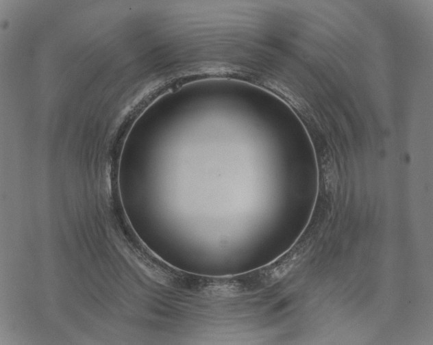 X0000074320350200609011543