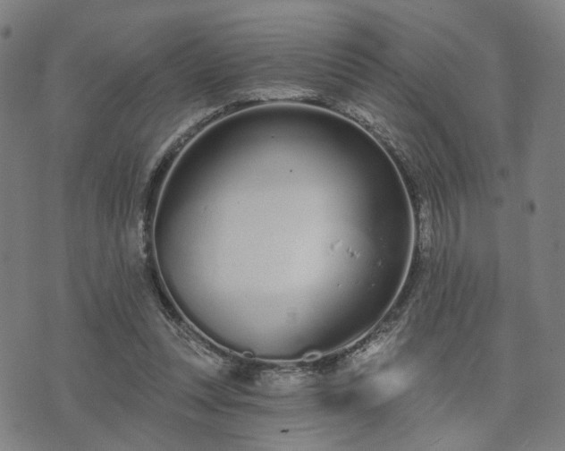 X0000074320351200609011543