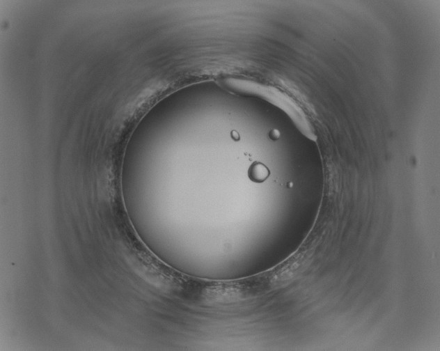 X0000074320354200609011543