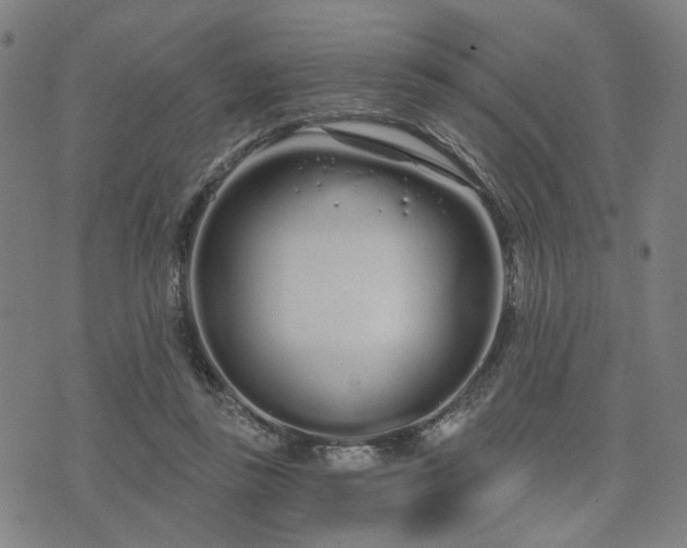 X0000074320355200609011543