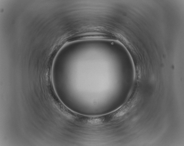 X0000074320357200609011543