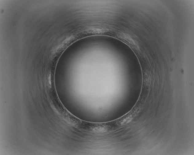 X0000074320358200609011543