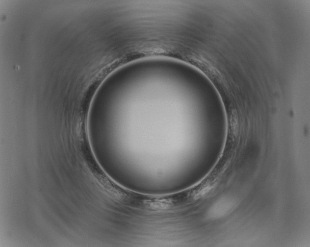 X0000074320359200609011543