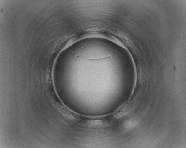 X0000074320361200609011543