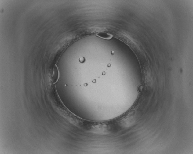 X0000074320362200609011543