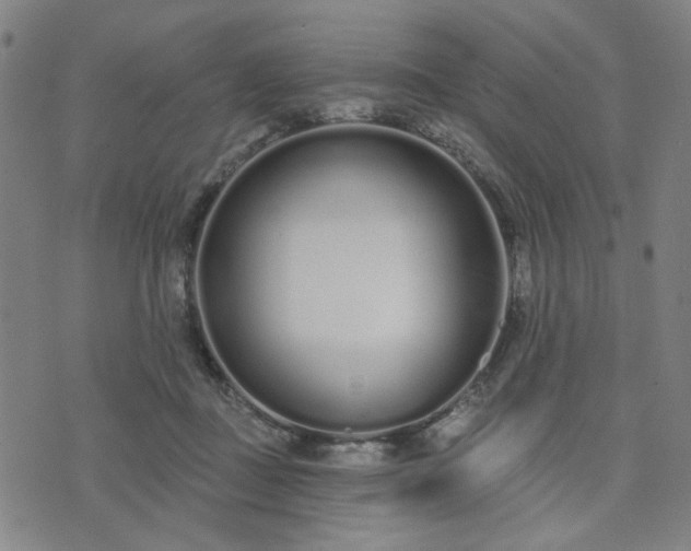 X0000074320363200609011543