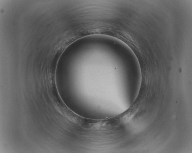 X0000074320366200609011543