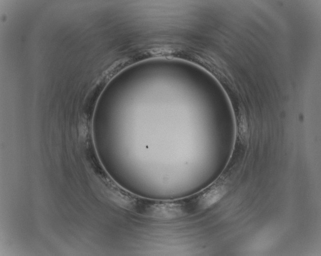 X0000074320367200609011543